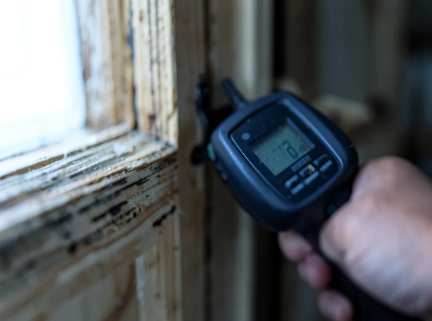 Water Damage Restoration Alpine, AL FAQs